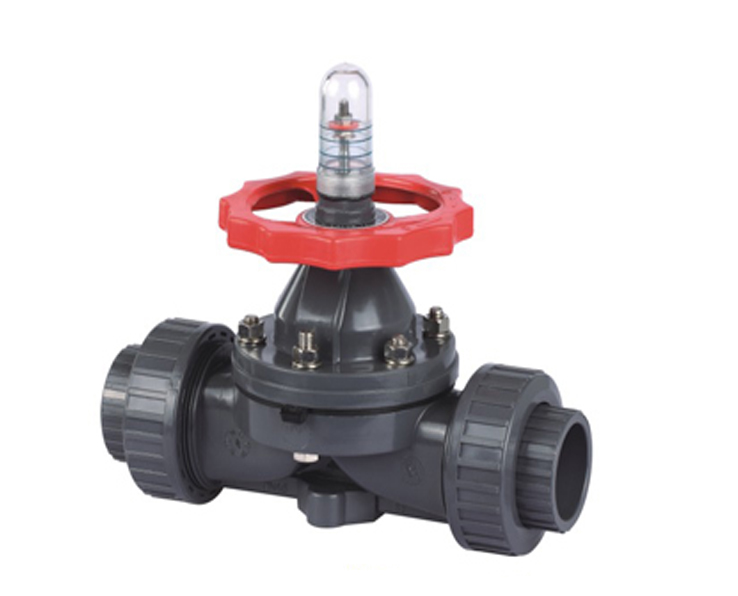Union-socket diaghragm valves