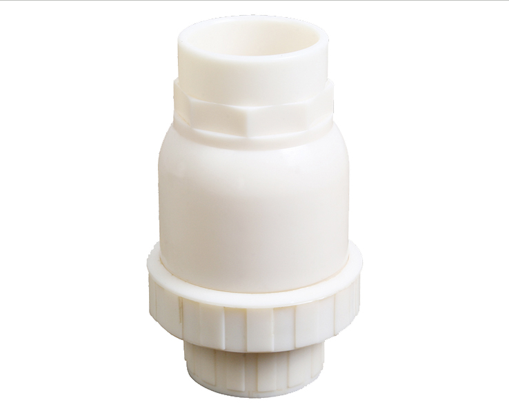 Check valve
